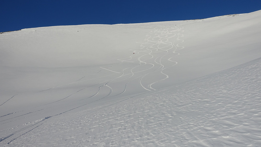 Ikke noe å si på skiføret!