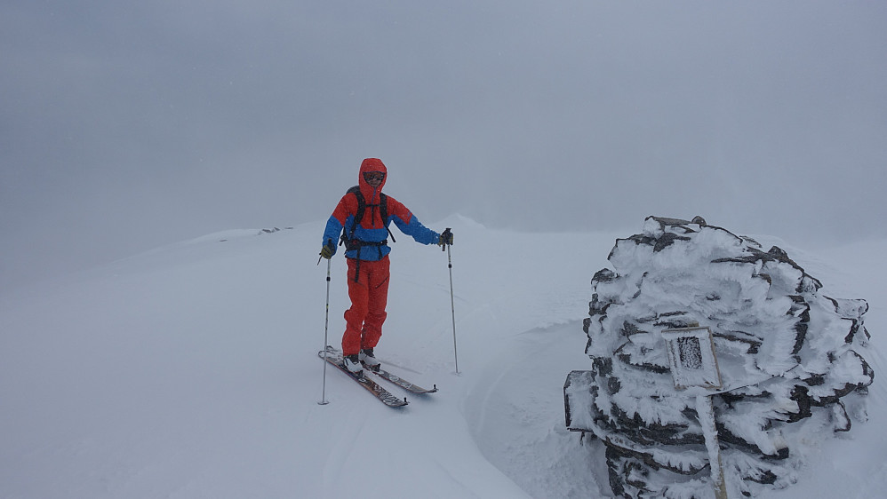 Toppen av Harstadfjellet.