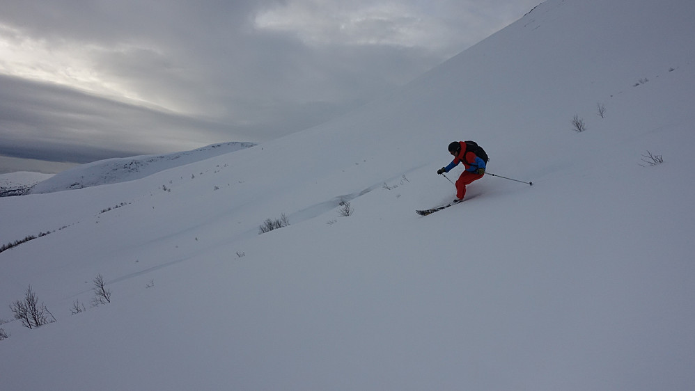Flott skiføre fra 700-800 meter og ned!