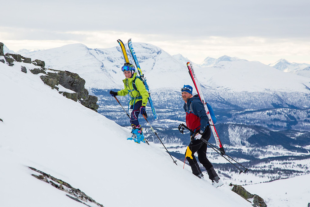 Bæreparti oppunder toppen. Foto: Veiset Media/ Robert Veiset