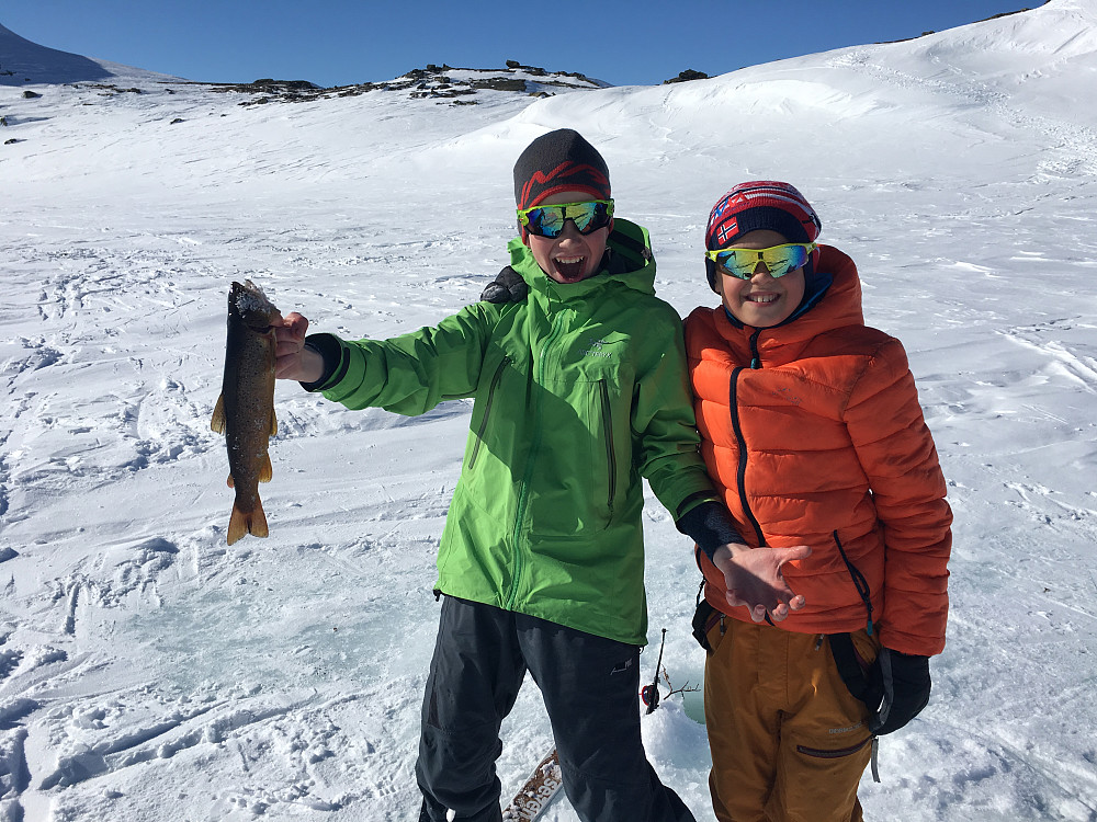 Fin fjellaure!