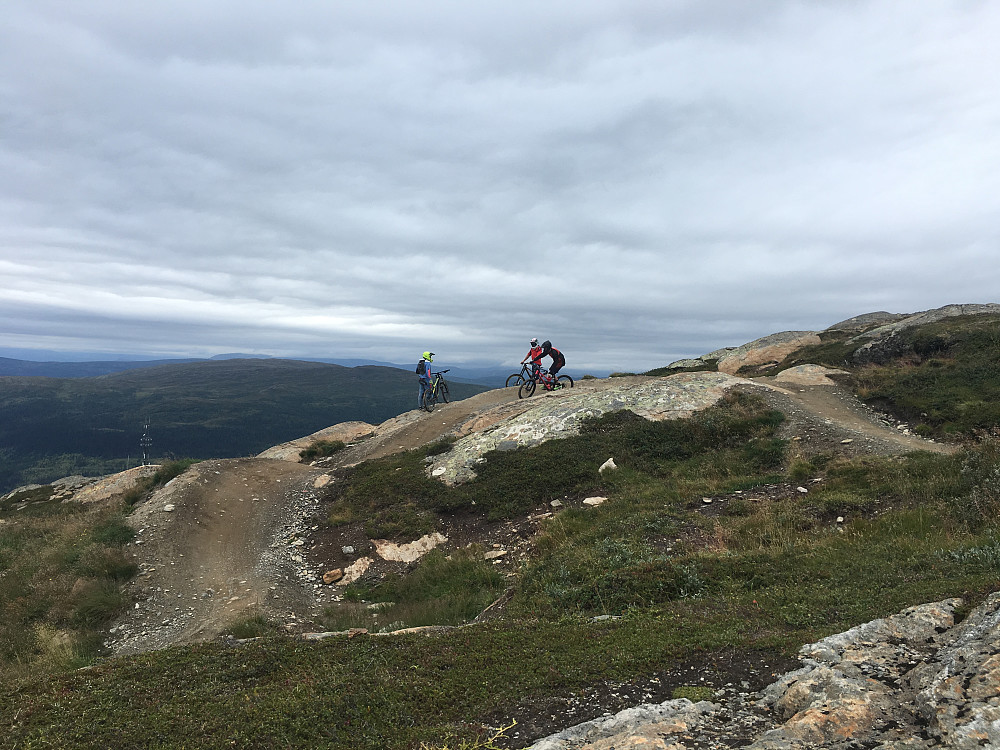 Hovedaktiviteten på Åreskutan er sykkel. Mange turgåere og løpere også.