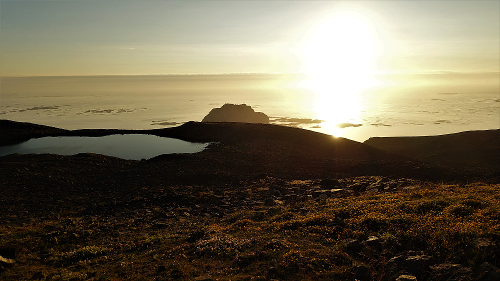 Utsikt til øya Søla, rett vest for Vega. 