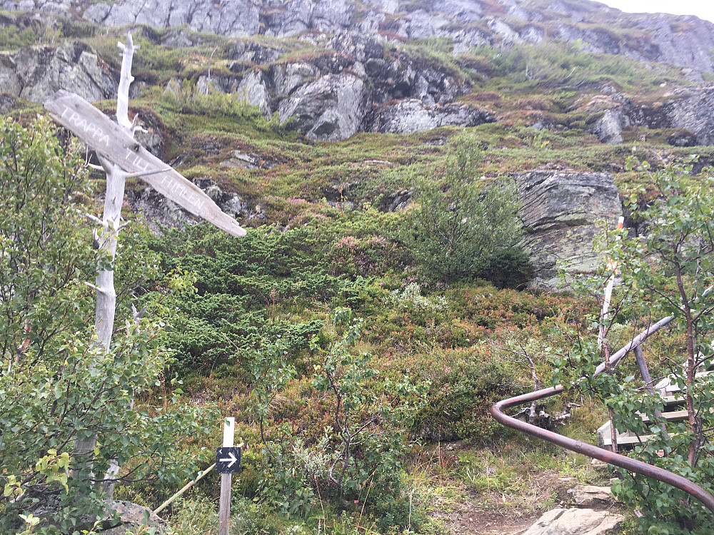 Trappa til himmels på Åreskutan!