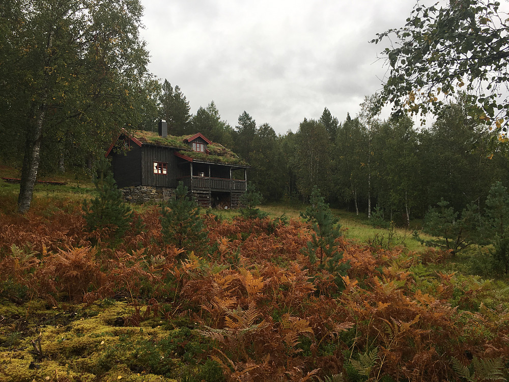 Passerte ei velholdt gammel seter på vei til Flåberget.