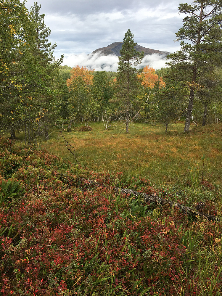 Fargerikt mot Skredfjellet.