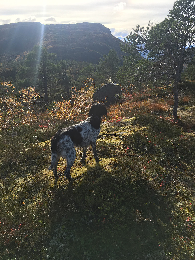Åfløyfjellet