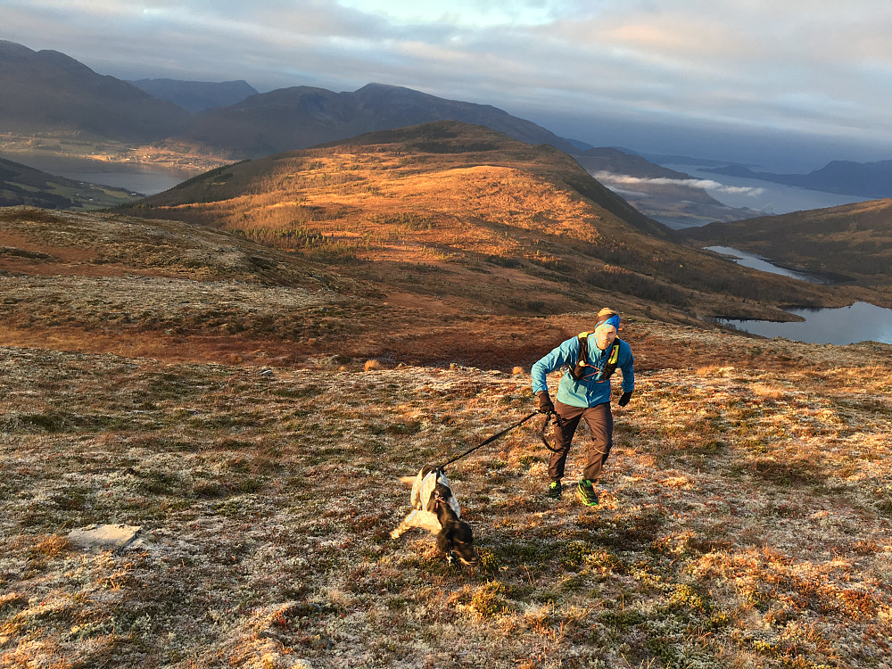 Tilbakeblikk fra område Grønnfjellet mot Kammen. Gråere/ blåere vær i ytre.