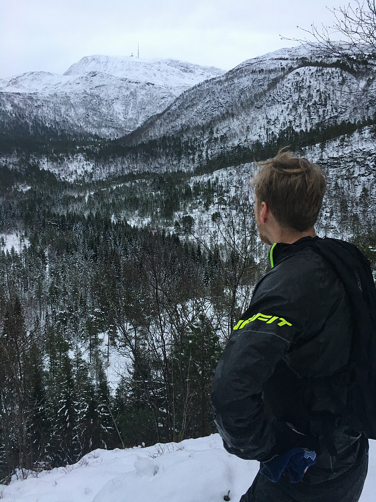 Trollhaugen mot Reinsfjellet.