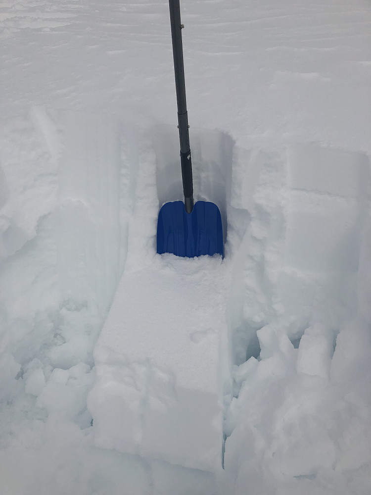 Glatt brudd 40 cm nedi. Hadde gått noen naturlig utløste skred i østhellinger i område. Vi endra derfor turmål fra Galtåtind til Snortungen til Loftskartinden.