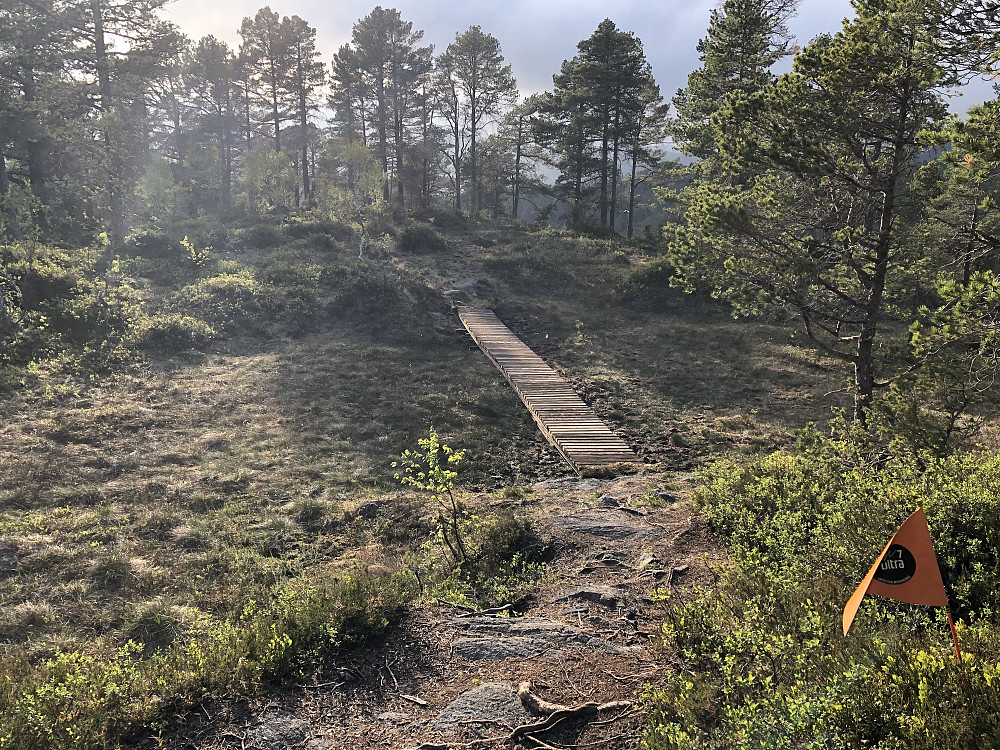 Foto: T Humstad
