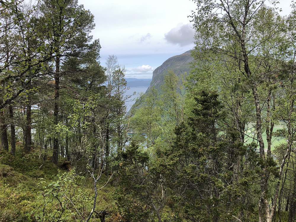 Frisvollfjellet mot Kvitfjellet.