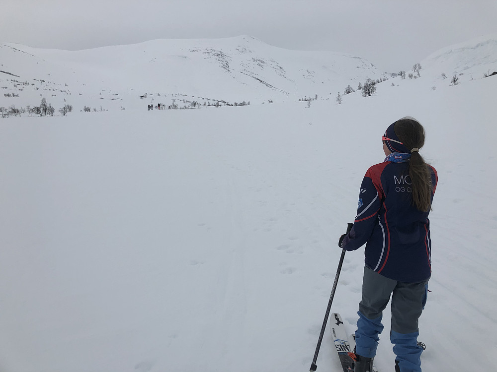 Ganske flatt lys, men Ok turvær. Lett snø. Mildt. 