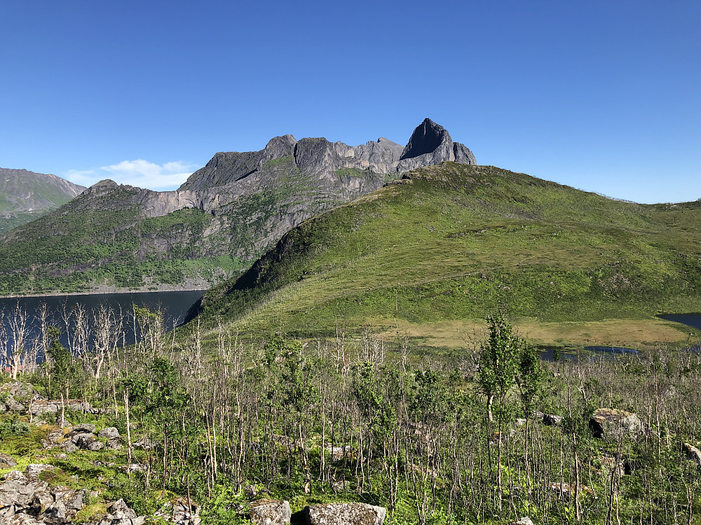 Grytetippen