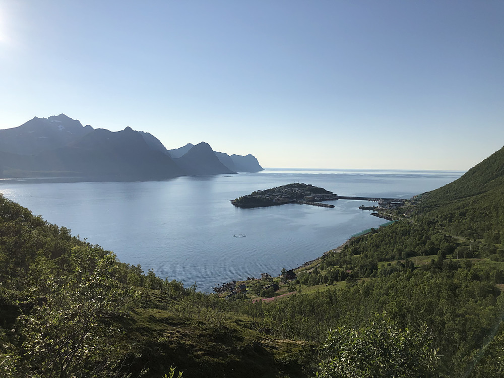 Husøy