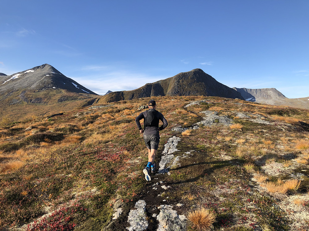 Varghaugen 