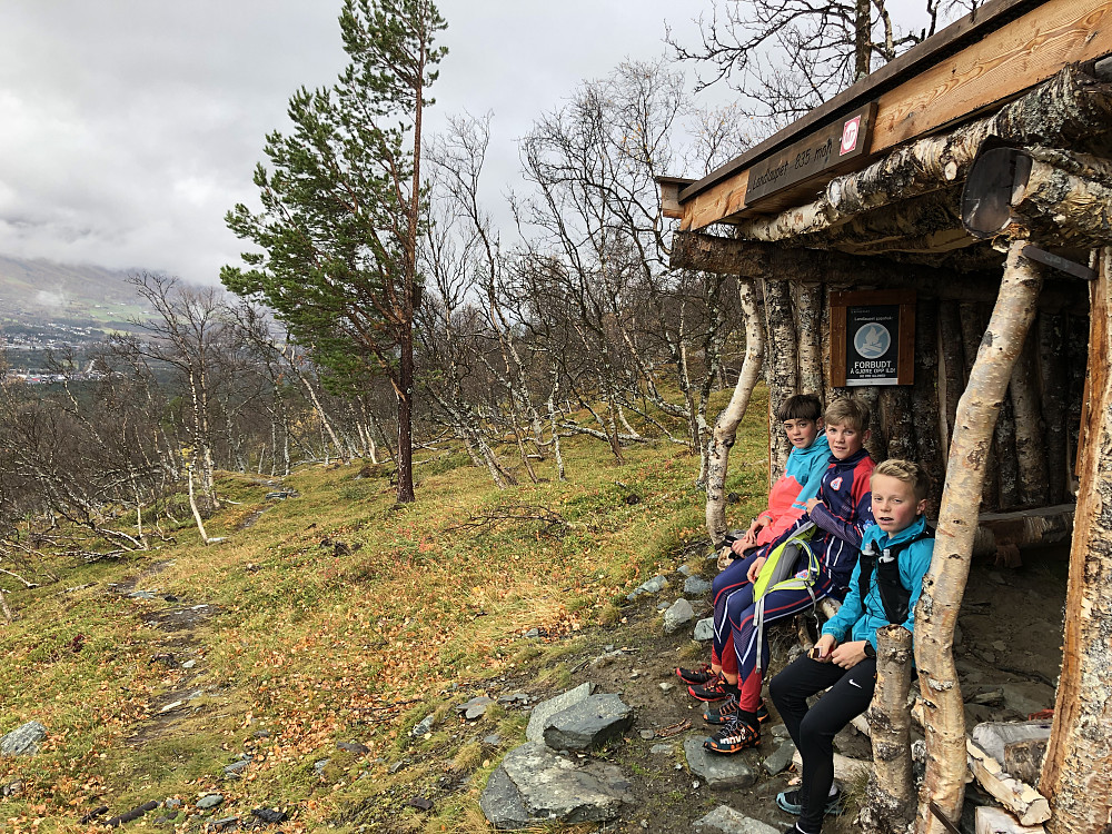 Står ikke på gapahukene på Oppdal!