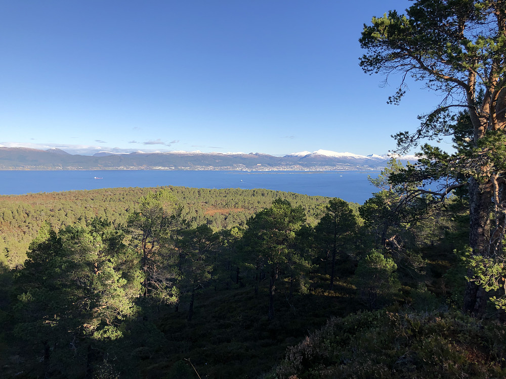Fra det høyeste punktet på Åsnakken. Der er det fin gapahuk. Utsikt til fylkeshovedstaden Molde.