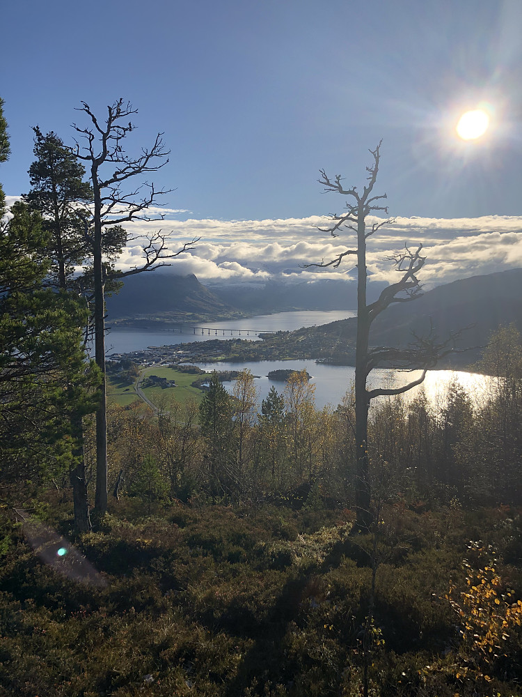 Fin utsikt mot Vestnes fra et punkt Åsnakken. Godt skilta og fine stier i området.