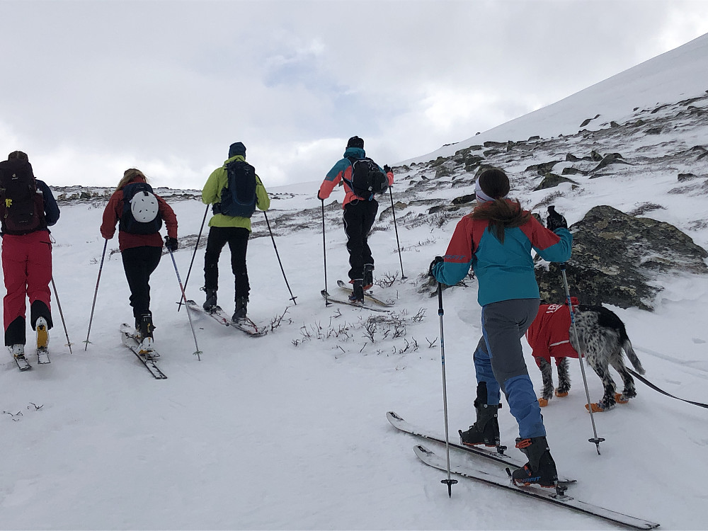 Fam Røed, Kurt, Sofie og Guro med på turen.