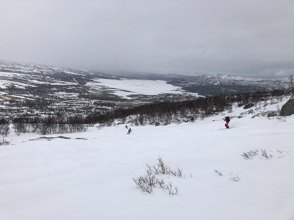 Nedkjøringa