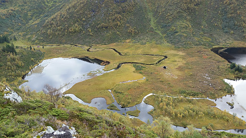 Myrområdet mellom Sildatjørna og Storavatnet sett fra Innsetberget. 