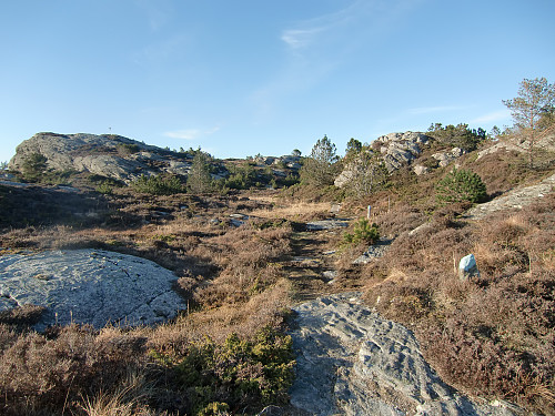 På vei til Vikåsen