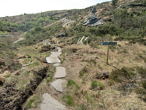  Stien til Veten og sti-krysset til Randifjellet