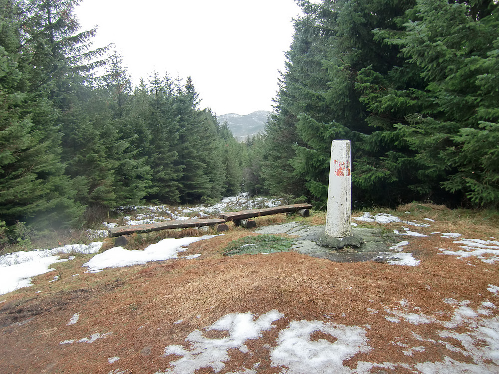 Trig.punktet på Hamrefjellet