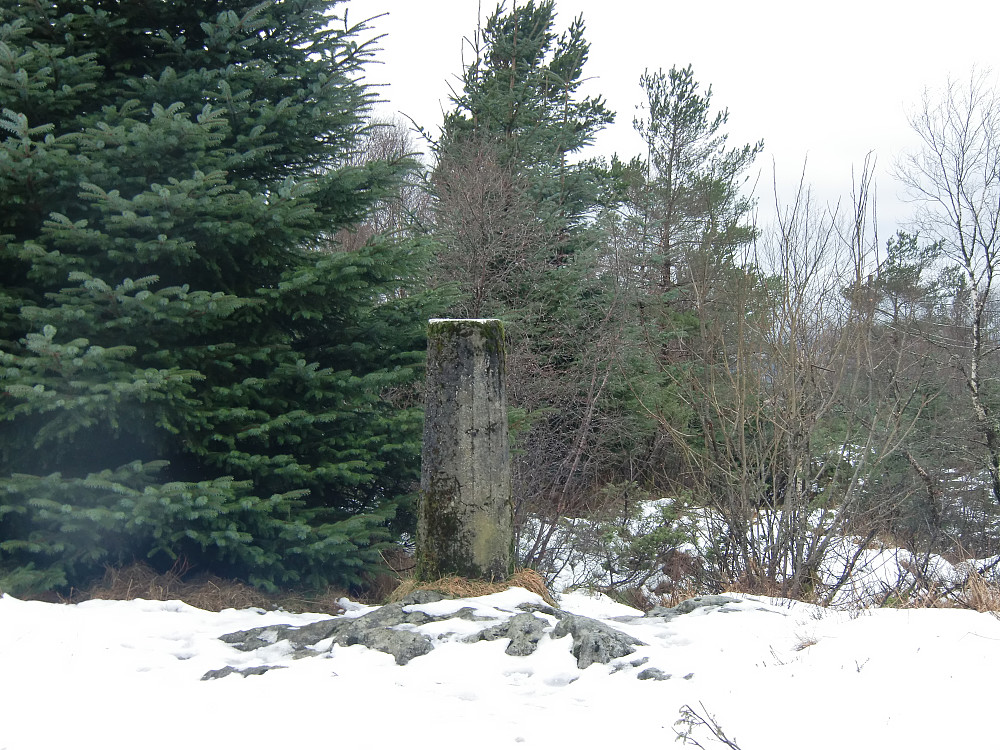 Trig.punktet på Torneberget