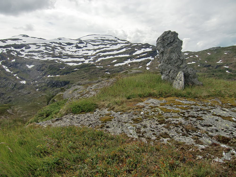 Fra toppen Mjølausa mot Tørviknuten. 