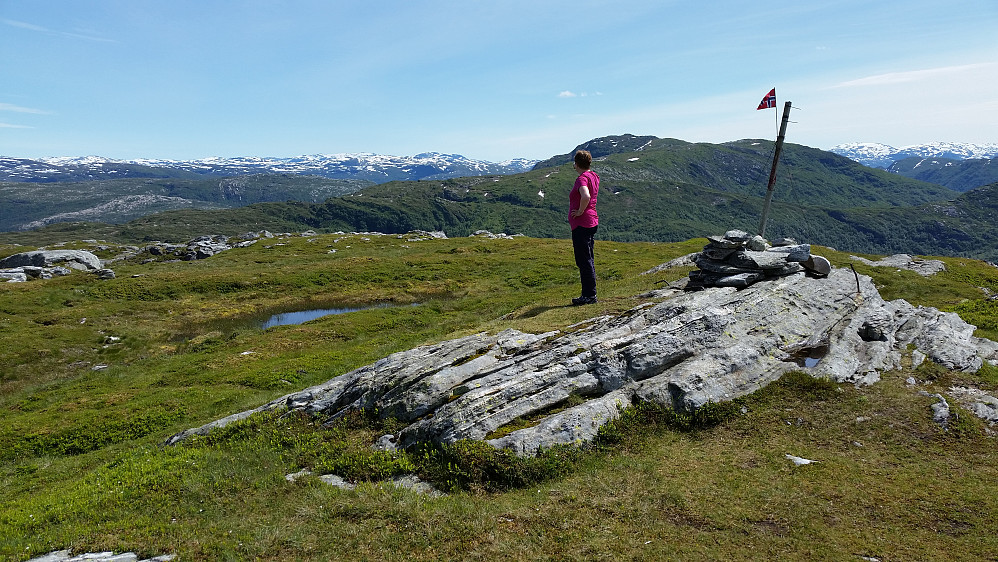 Stangfjellet med utsikt mot Bruviknipa. Hovedvarden noen meter lavere mot vest. 