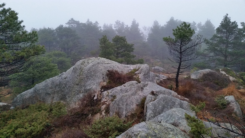 Høgåsen i tåke og regn.