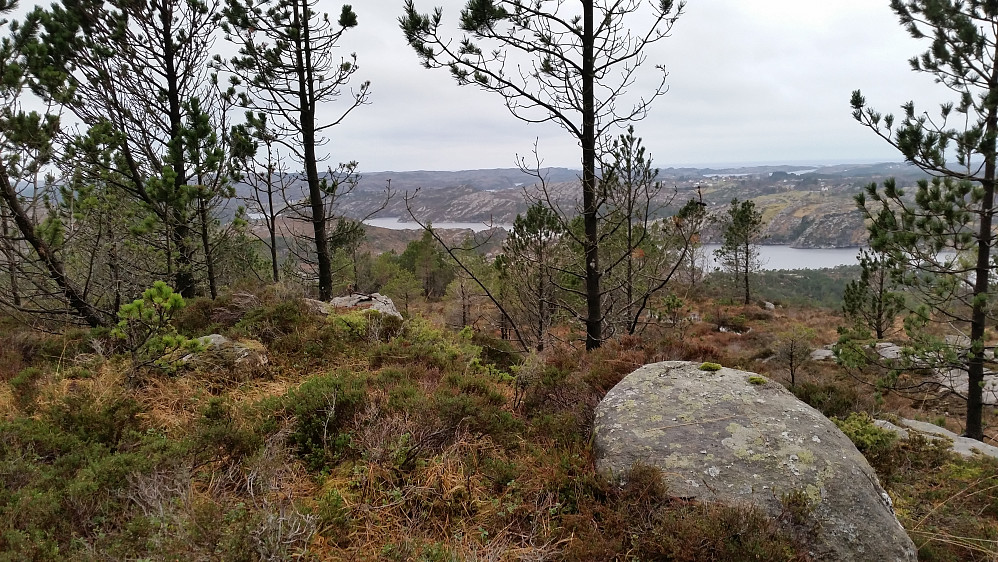 Toppen på Kolafjellet der det var bolt og streng etter et gammelt trig.punkt. 
