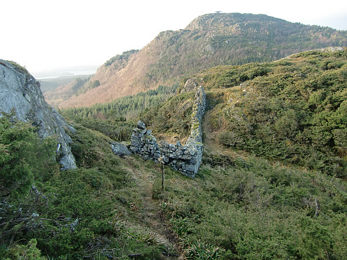 Fine gamle steingarer på vei mot Tveitanipa. Brakstadfjellet i bakgrunnen. 