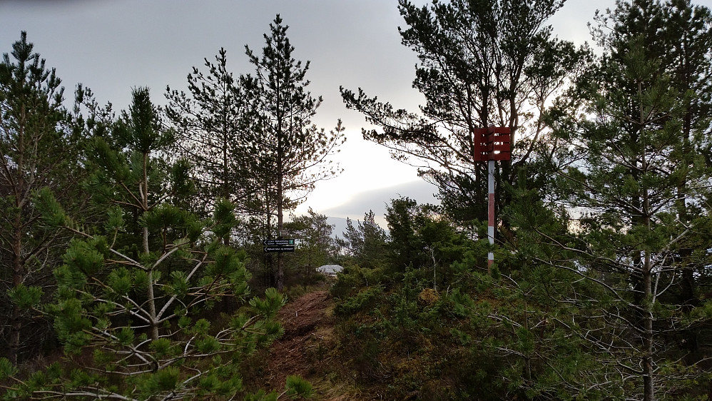 Toppen med trig.punkt og turskilt med alt. turstier. 