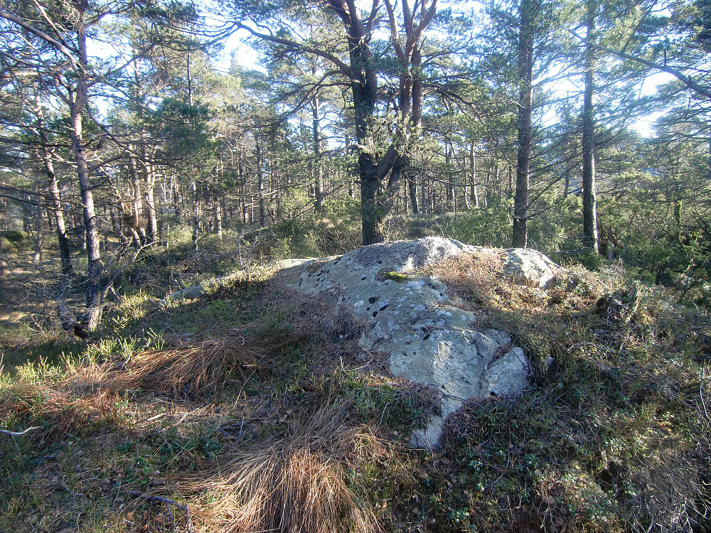 Lauvåsen