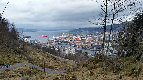 Ned hoved stien som går til toppen på Løvstakken. 