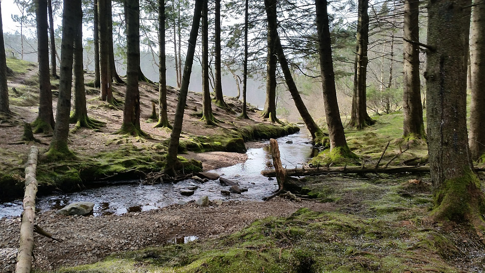 Munkebotten