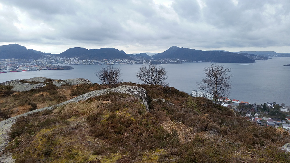 Toppen på Rognåsen med utsikt mot Laksevaag