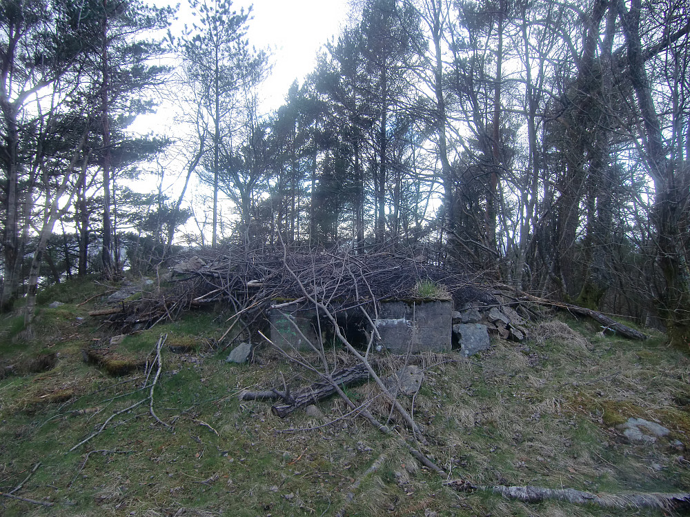 Toppen på Fagerdalsfjellet 
