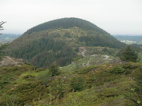 Kolåsen sett fra Tveitåsen
