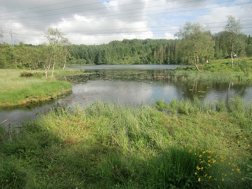 Bjørnevatnet