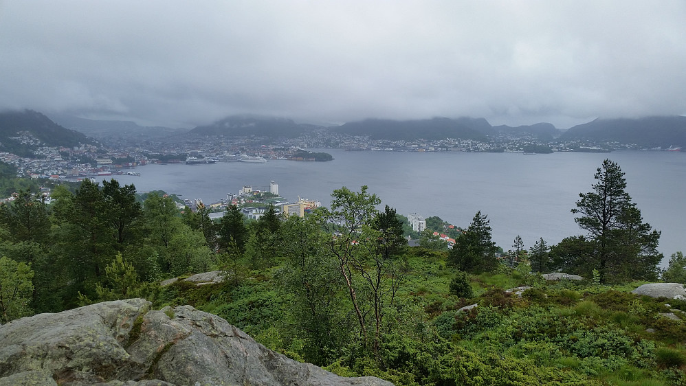 Utsikt mot Bergen fra Ørneberget