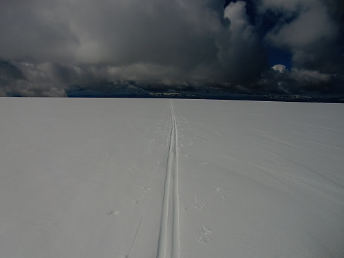 Sjelden fint føre for å være i Juli måned med nysnø og fonna nesten for oss selv. 