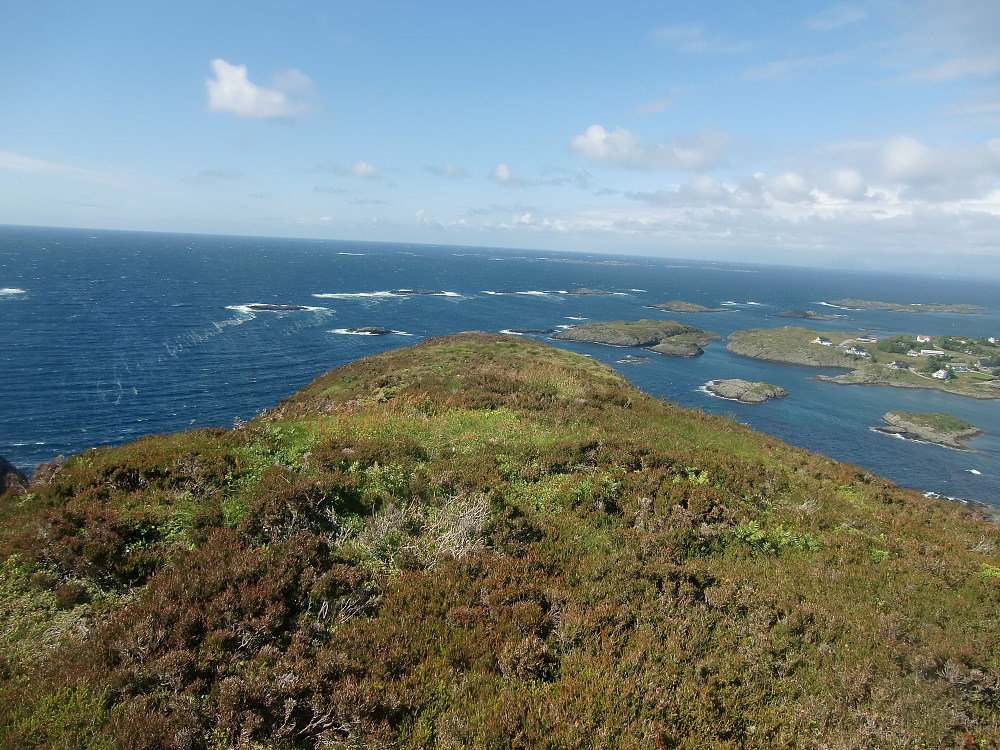 Utsikt nordover ryggen som var merkelig grønn. Sett nedenfra var dette et helt bart fjell. 