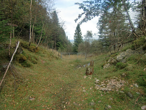 Her begynner stiene, Selifjellet til høyre og Skausnøya til venstre