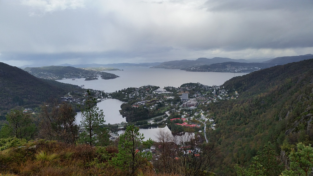 Utsikt mot nord med Godvik og byfjorden