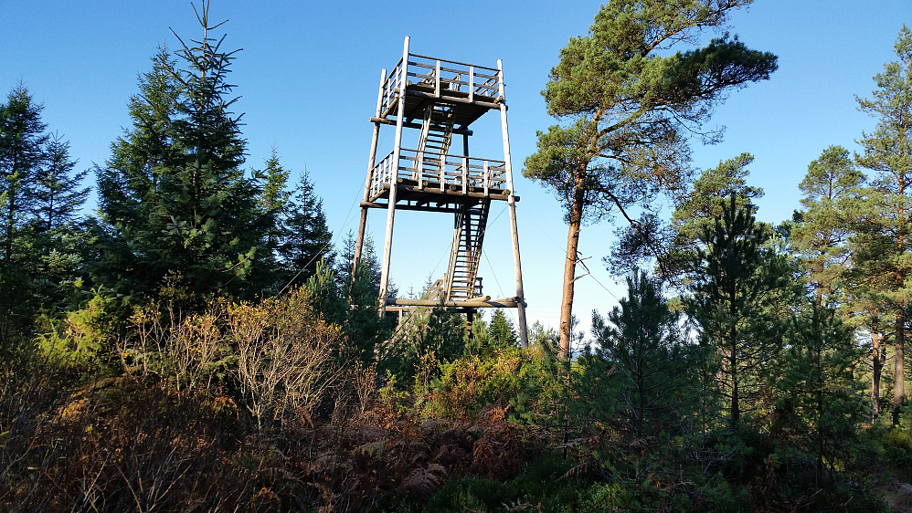 Tårnet på toppen