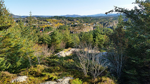 Mye hindringer som ung gran tett med greiner helt ned til bakken, i tillegg ulent berg med brake og høy lyng.